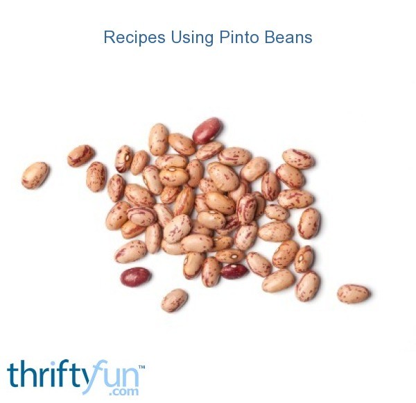 Recipes Using Pinto Beans ThriftyFun
