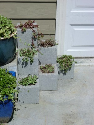 Cinder Block Step Planter - finished planter