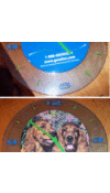 Updated Promotional Clock with Photo of Dogs