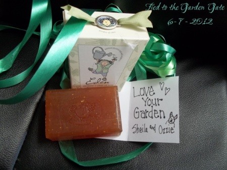 Gift bag, card, and bar of soap.