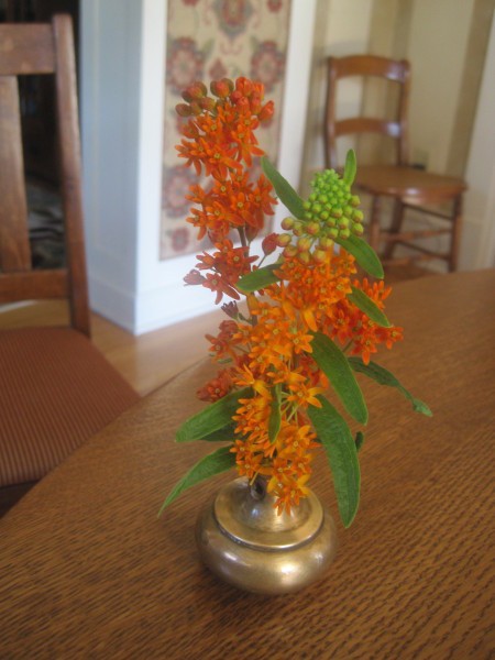 Mini vase from used brass door knob, inverted with branch inserted.