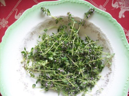 Lemon thyme in a bowl.