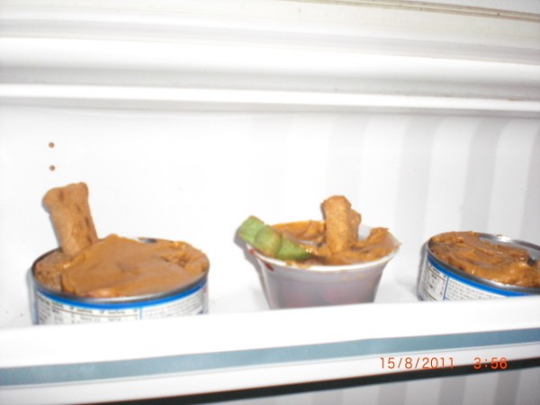 Frozen dog treats in the freezer.