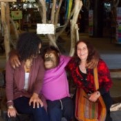 Two women on a bench with the orangutan.
