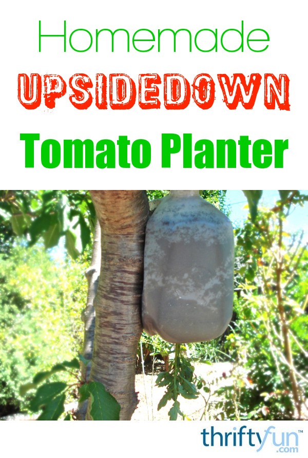 Homemade Upside Down Tomato Planter ThriftyFun