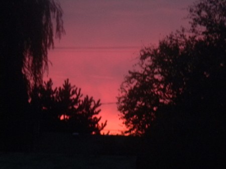 Beautiful pink and purple sunset.