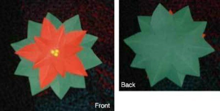 Back and front views of magnet.