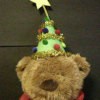 Little Christmas tree hat on stuffed bear.
