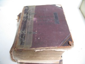 Webster'sEncyclopedic Dictionary1891