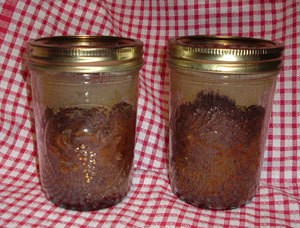 Baking in canning jars