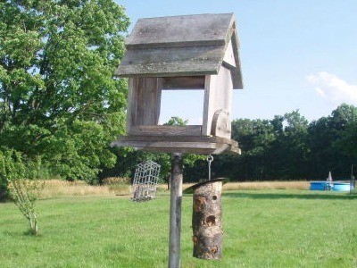 Log Bird Feeder