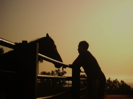 Horse Love (El Arenal, Spain)