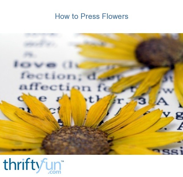 How to Press Flowers ThriftyFun