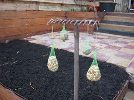 bird seed bags hanging from an old rake stuck in ground