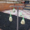 bird seed bags hanging from an old rake stuck in ground