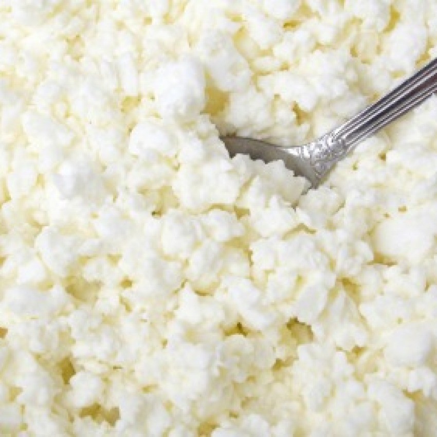 Storing Cottage Cheese Thriftyfun
