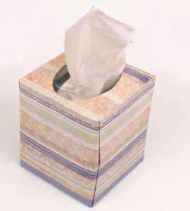 Uses for Tissue Boxes