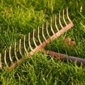 Uses for Old Rakes
