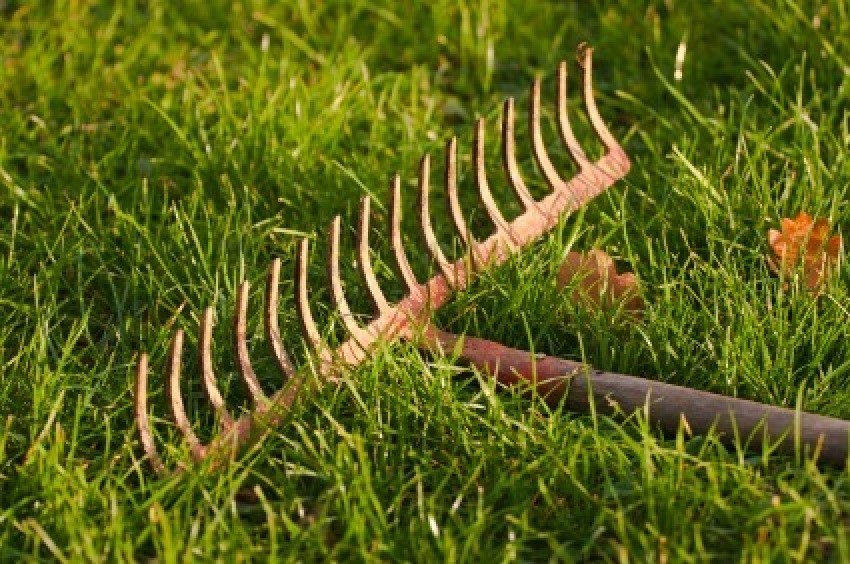 old garden rake