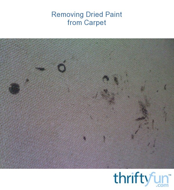 Removing Dried Paint from Carpet ThriftyFun