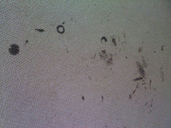 Remove Dried Oil Paint From Carpet Remove Dried Oil Paint From Carpet