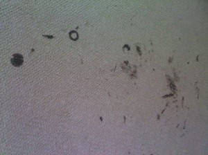 Spots of gray paint on white carpet.
