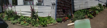 Panoramic view of house and garden.