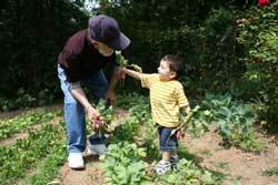 Gardening With Kids