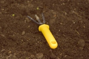 Improving Garden Soil