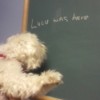 Someone holding Lulu up to a chalk board that says, "Lulu was here".