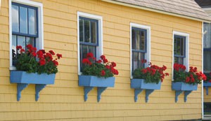 window boxes on yellow house