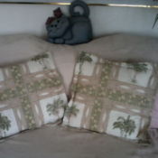 Newly recovered throw pillows.