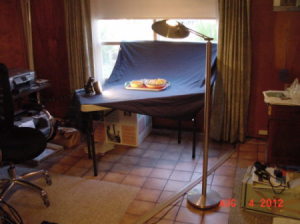 Table set up with a cover sheet, floor lamp lighting for photo.