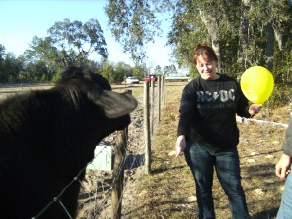 Black Angus and young woman holding a yellow balloon.