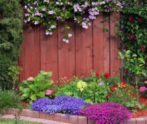 Ornamental Garden Border