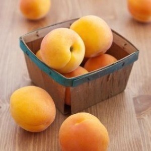 apricots