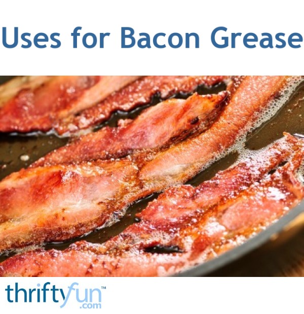 Uses for Bacon Grease ThriftyFun