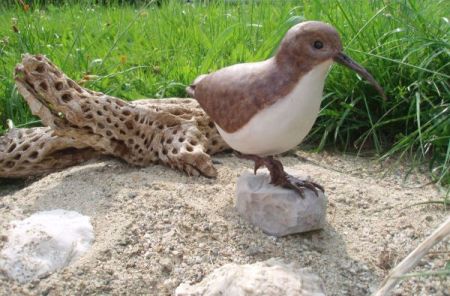 A wood carving of a Wester Sandpiper