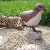 A wood carving of a Wester Sandpiper