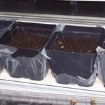 Press and Seal for Seedling Containers