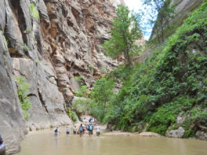 Virgin river in Zion Nations Park, with hikers.