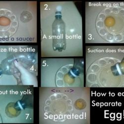 Step by step photos of separating an egg.