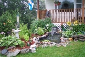 Transplanted Garden and Pond