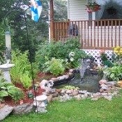 Transplanted Garden and Pond