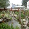 A backyard garden pond, with rockery and decorations.