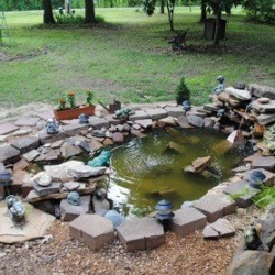 Garden Ponds and Rockery | ThriftyFun