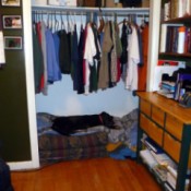 Lab lying on dog bed in closet.