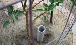 PVC Pipe For Deep Watering