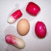 Large cut and cleaned radishes.