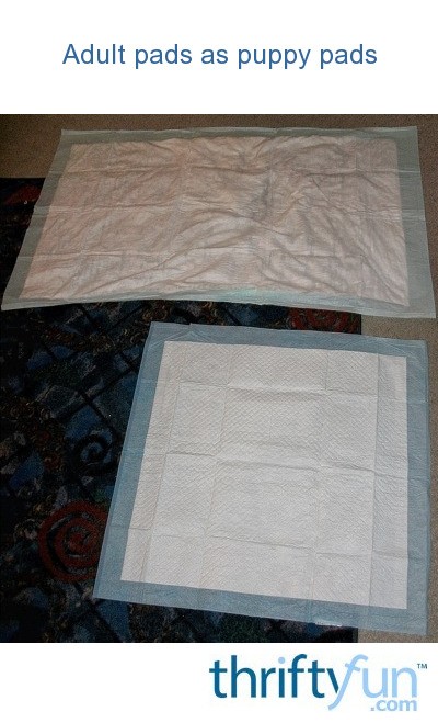 family dollar puppy training pads